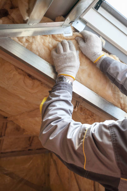 Best Insulation Inspection Services  in Chocowinity, NC