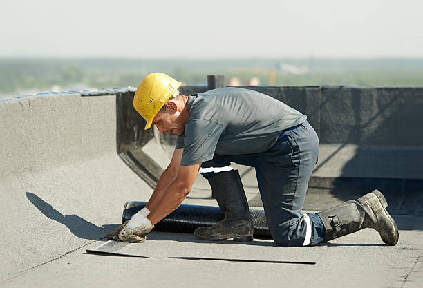 Best Attic Insulation Installation  in Chocowinity, NC