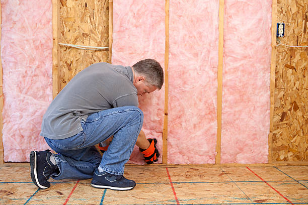 Best Insulation Removal  in Chocowinity, NC