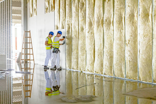 Best Spray Foam Insulation  in Chocowinity, NC